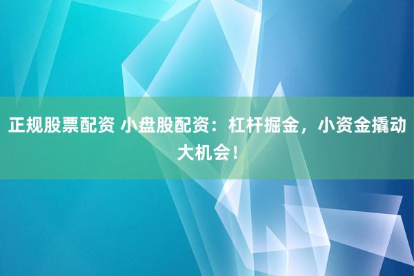正规股票配资 小盘股配资：杠杆掘金，小资金撬动大机会！